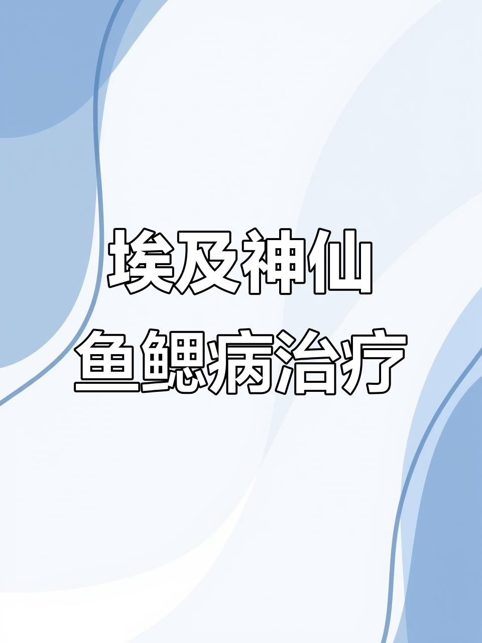 埃及神仙鱼鳃病诊断与治疗方案