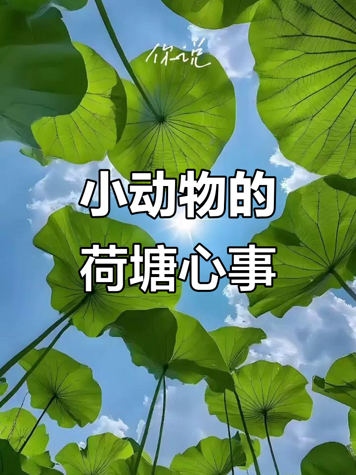 荷塘里的小动物们每天都在想什么?夏日清凉壁纸推荐