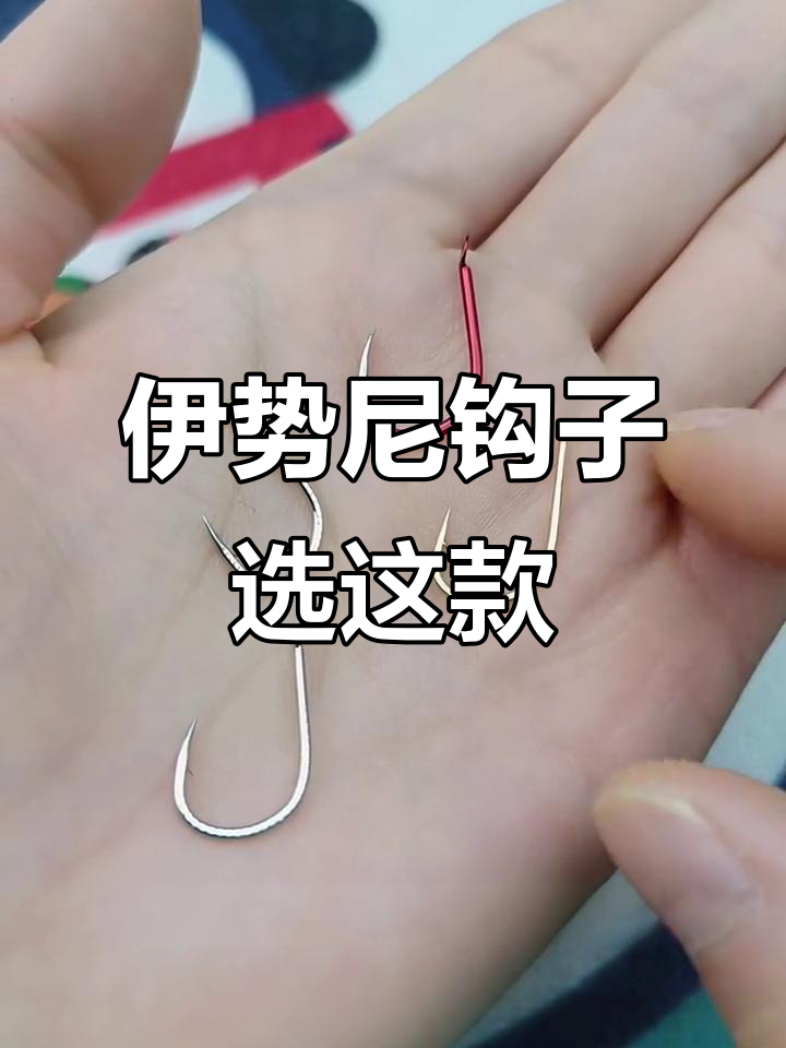 秋冬钓大鱼必备!麒麟针伊势尼,钩条适中拉力强