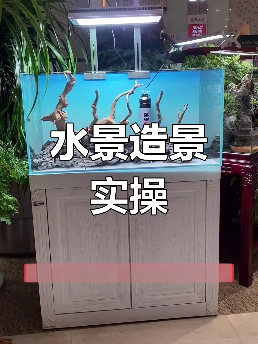 自然水景造景教程:杜鹃根与青龙石搭配