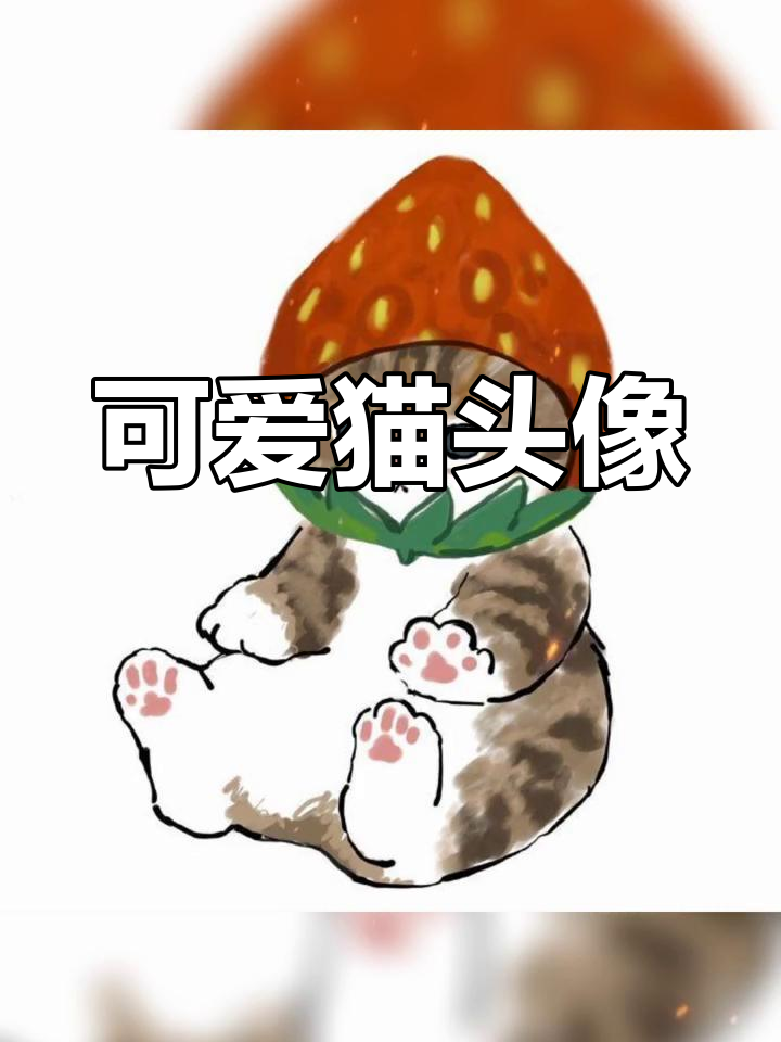 超萌猫咪动漫头像,闺蜜必备