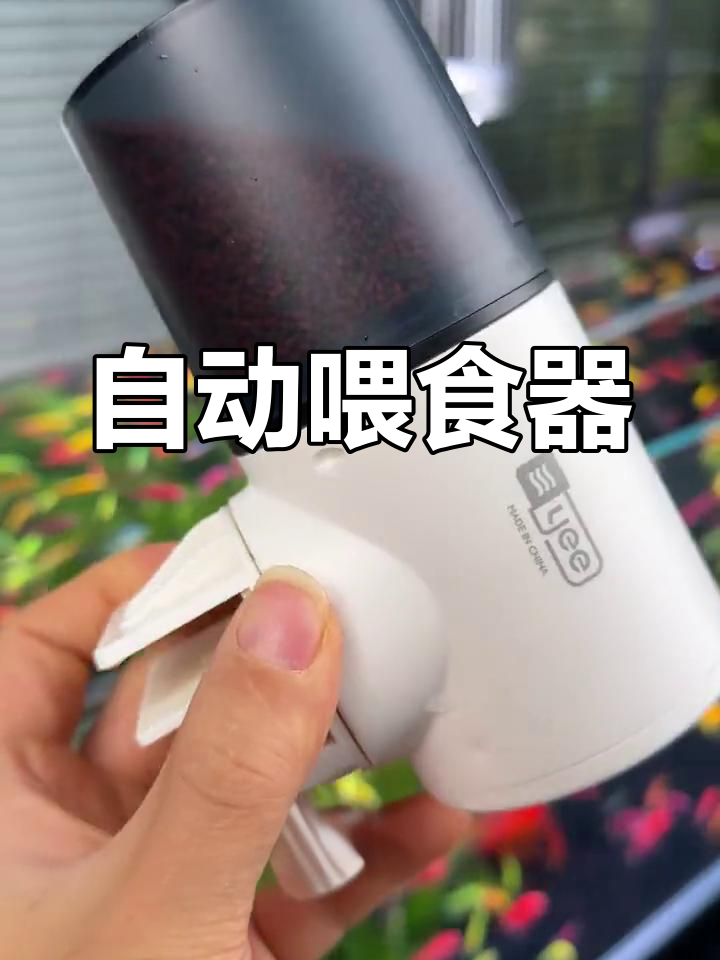 鱼儿定时吃饭,出门无忧!