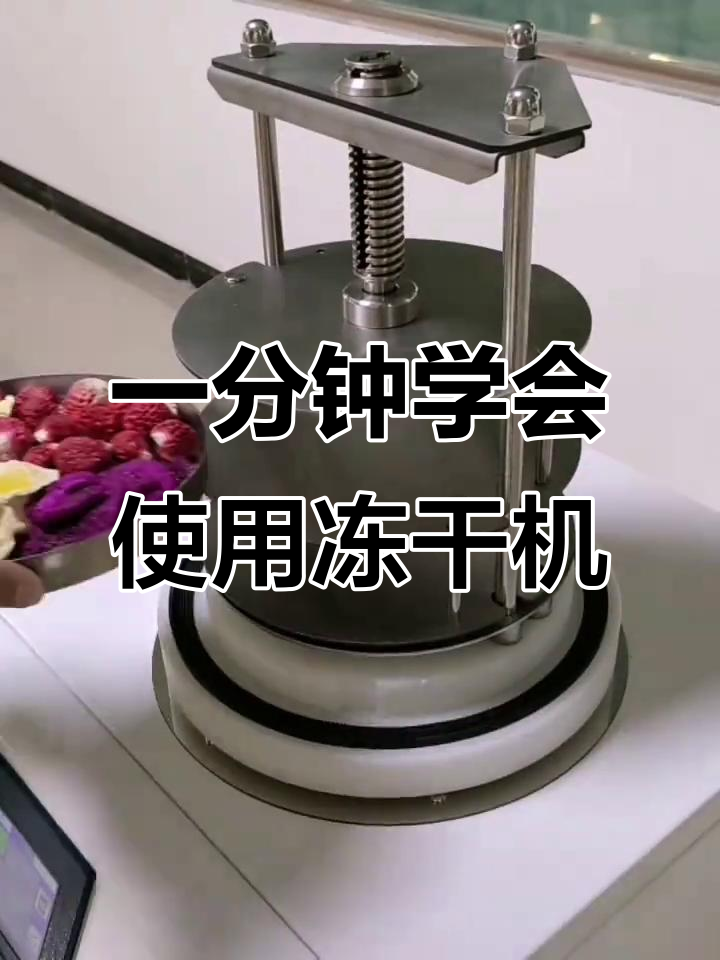 实验型冻干机操作全解析:从冷冻到抽真空,轻松搞定