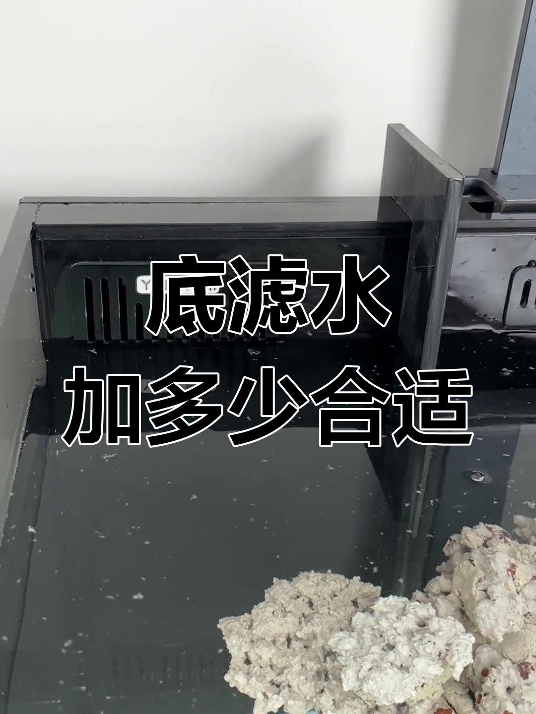 底滤鱼缸加水技巧:如何调节水位