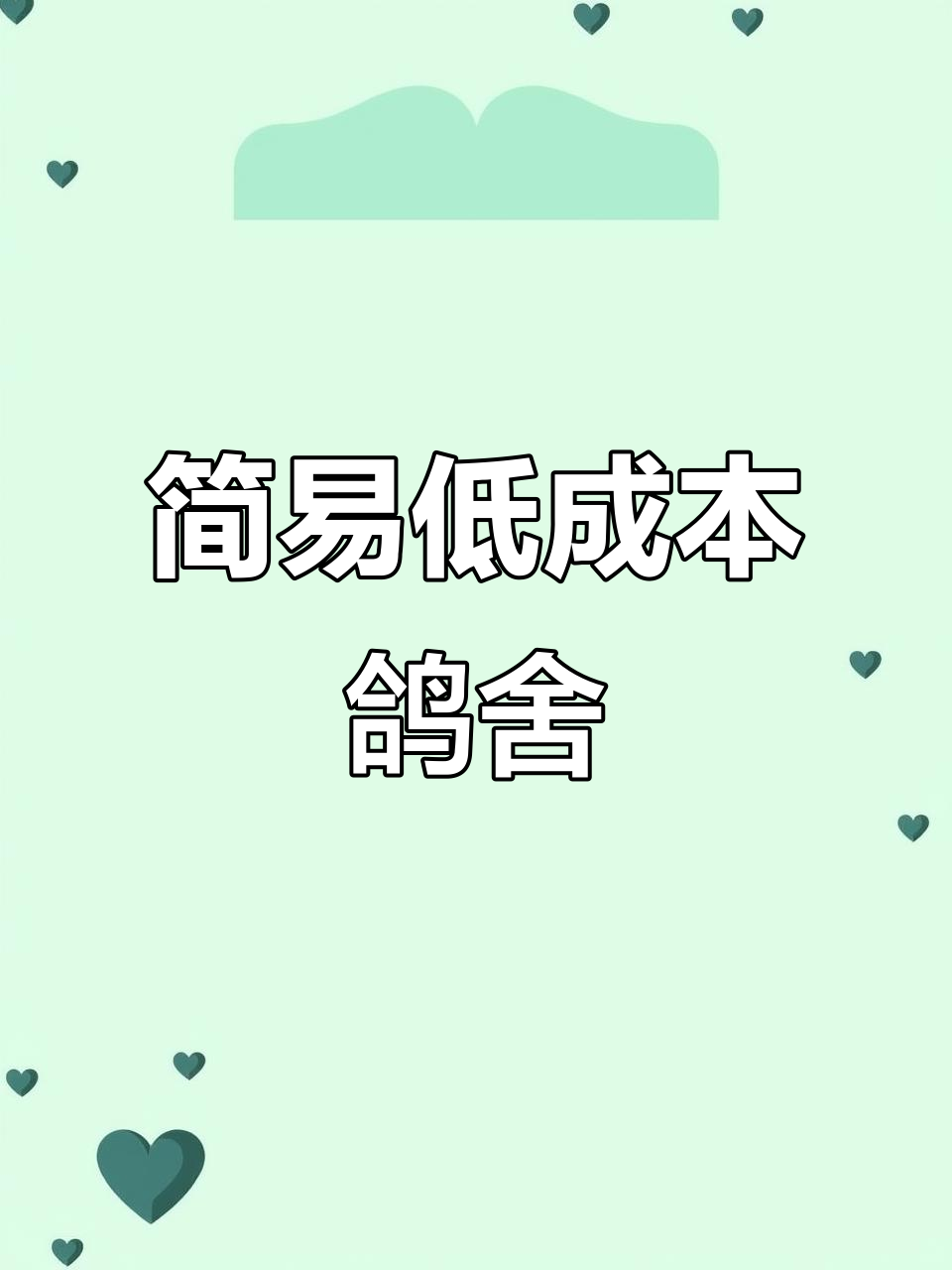 低成本鸽舍建造,200元搞定防鼠防雀