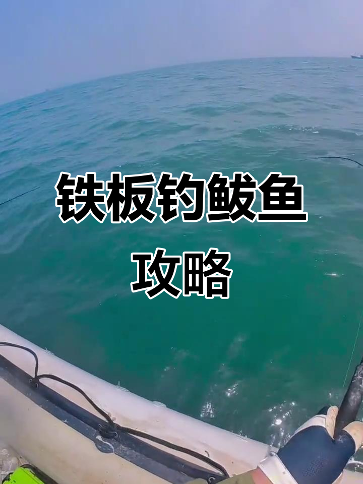 铁板钓鲅鱼技巧大揭秘,如何避免跑鱼?