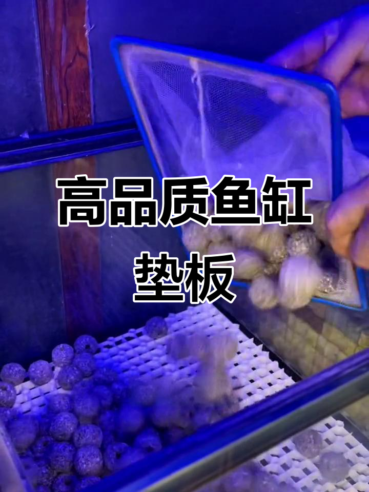 鱼缸底滤板加固,提升水循环效果