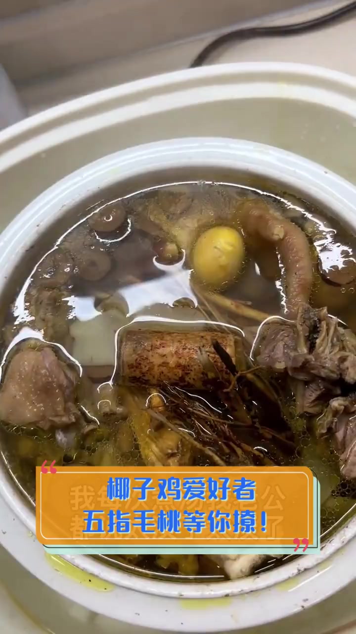 椰子鸡爱好者,五指毛桃等你撩!
