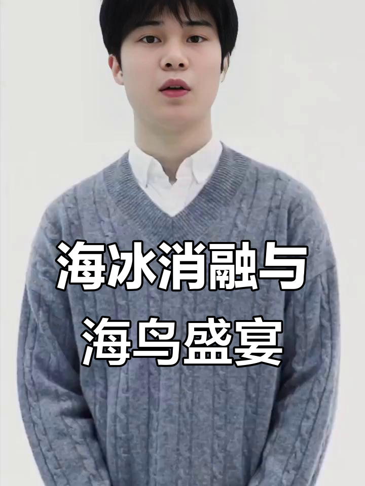 极地海鸟大迁徙,鲸鱼尾拍击水面震撼登场