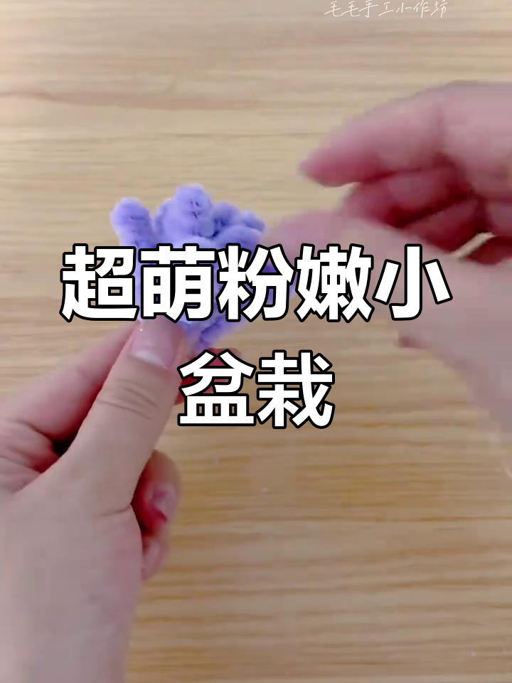 粉色扭扭棒多肉,超萌盆栽,必试!
