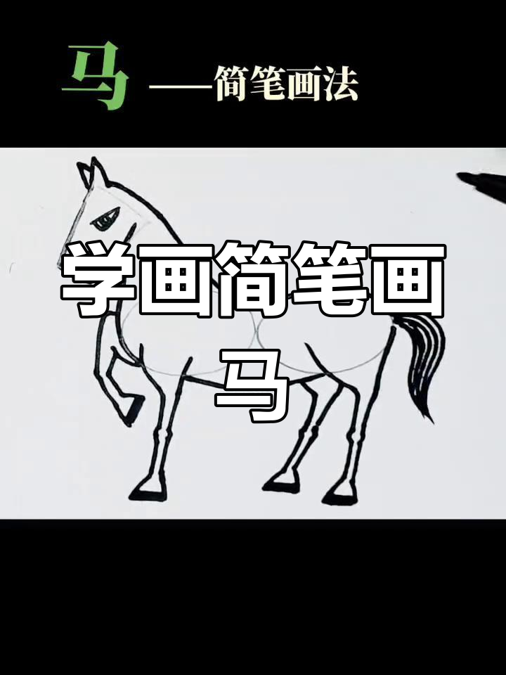 轻松学画骏马,步骤简单又有趣