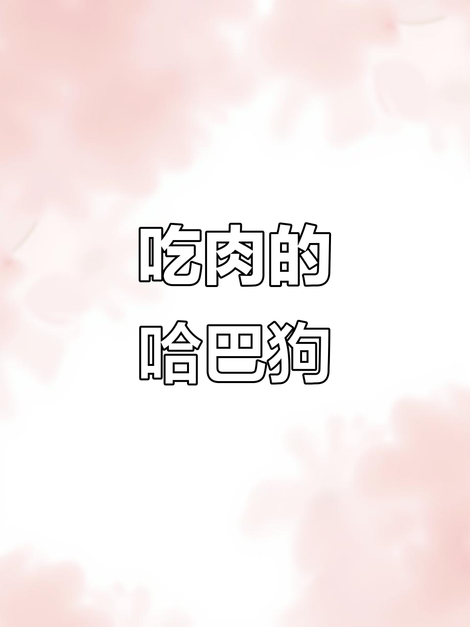 哈巴狗吃肉骨头,尾巴摇不停