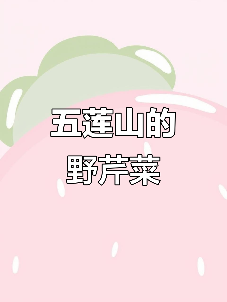 五莲山野生芹菜,味道独特超美味