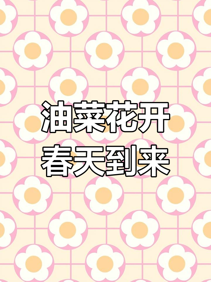 外婆家门口的油菜花,春日里的温暖与希望
