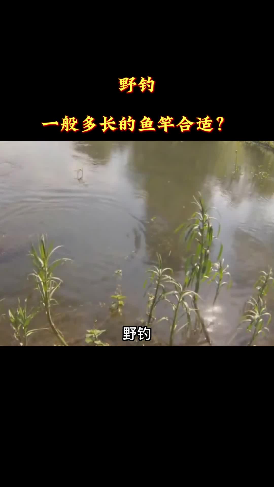 野钓,一般多长的鱼竿合适?