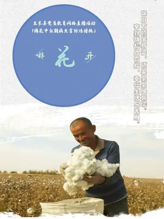 8月8日19:10,网络直播:振兴路上(第一期)——棉花中后期病虫害防治措施,关注且末融媒