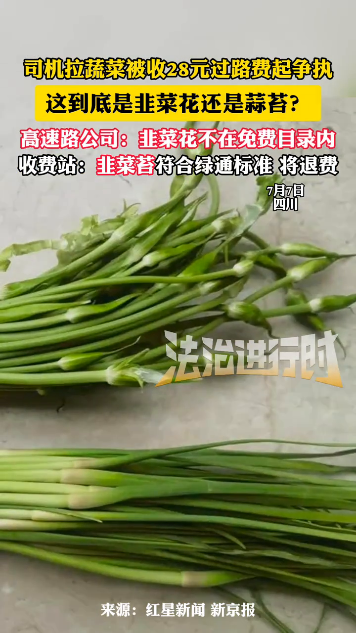 司机拉蔬菜被收28元过路费起争执 到底是韭菜“花”还是“苔”