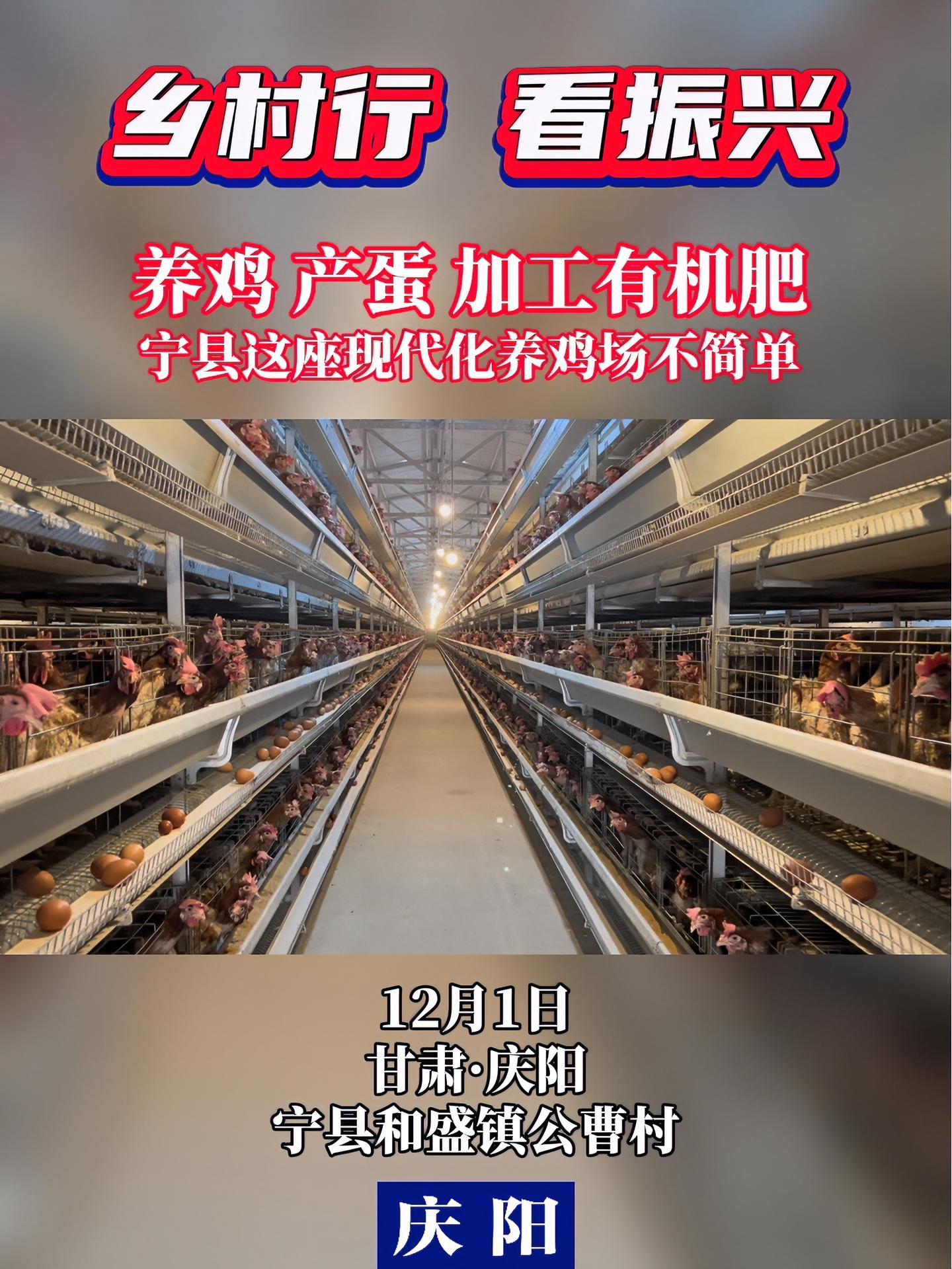 「乡村行 看振兴」养鸡,产蛋,加工有机肥～宁县这座现代化养鸡场不简单!乡村振兴