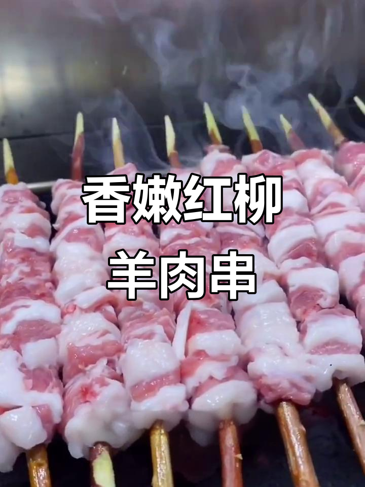 红柳羊肉串,滋滋冒油让人无法抗拒,赶紧试试!