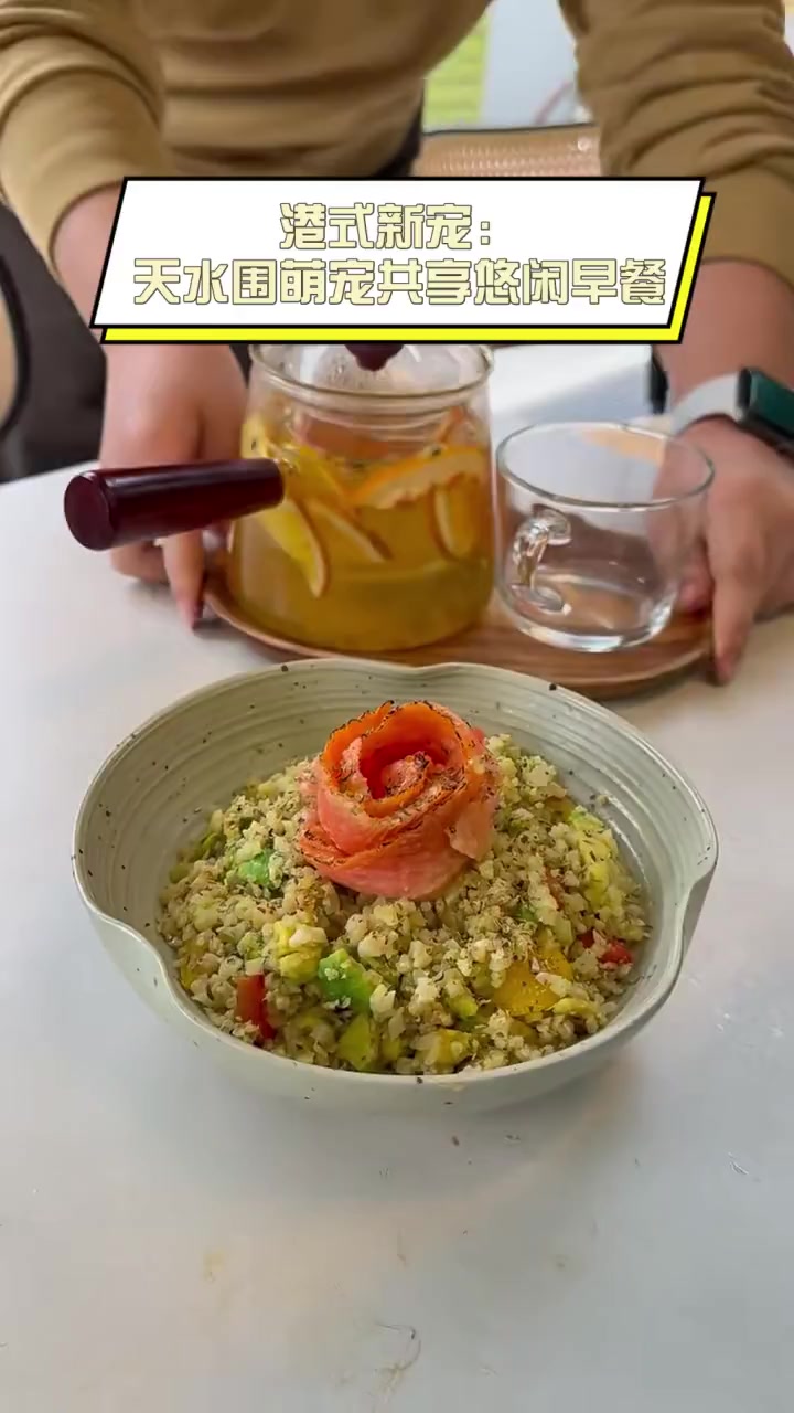 港式新宠:天水围萌宠共享悠闲早餐