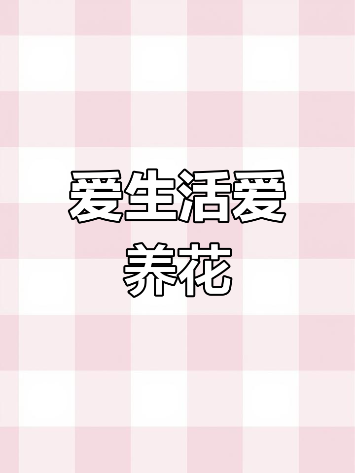 蓝龙多肉:让养花成为生活的一部分,享受每一刻的美好