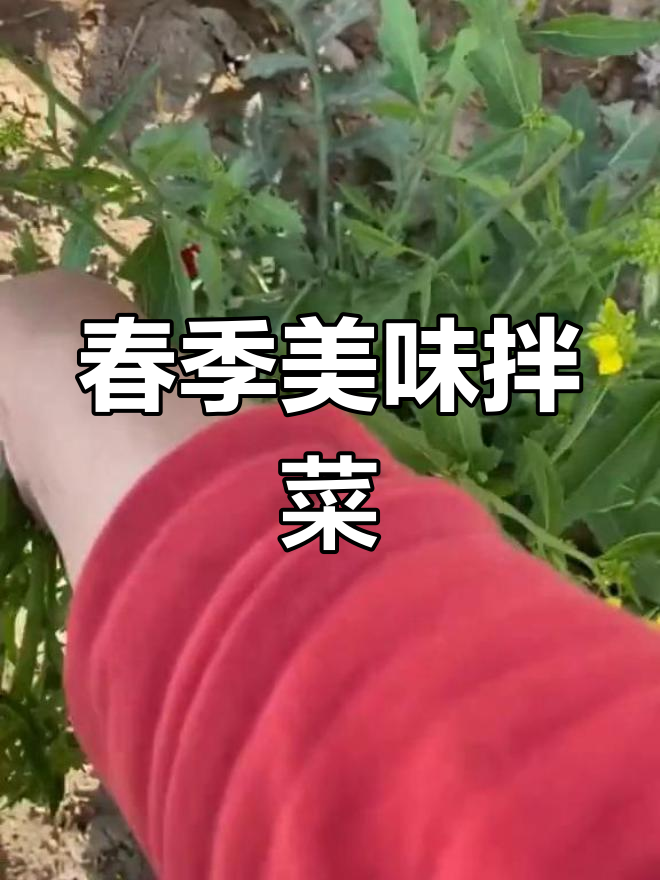 芥菜新芽,嫩尖拌花生米,春意盎然的味道