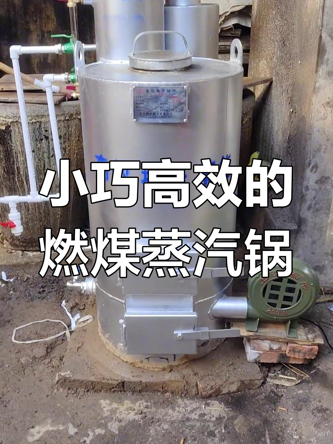 120型燃煤蒸汽锅炉,体积小、上汽快,干饱和蒸气高效产出