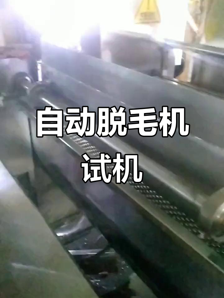 四川泸州发货,鸡鸭鹅自动脱毛机试机成功