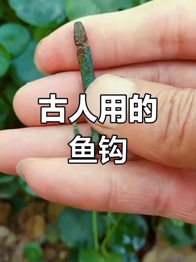古代鱼钩竟然长这样,钓鱼工具大揭秘!