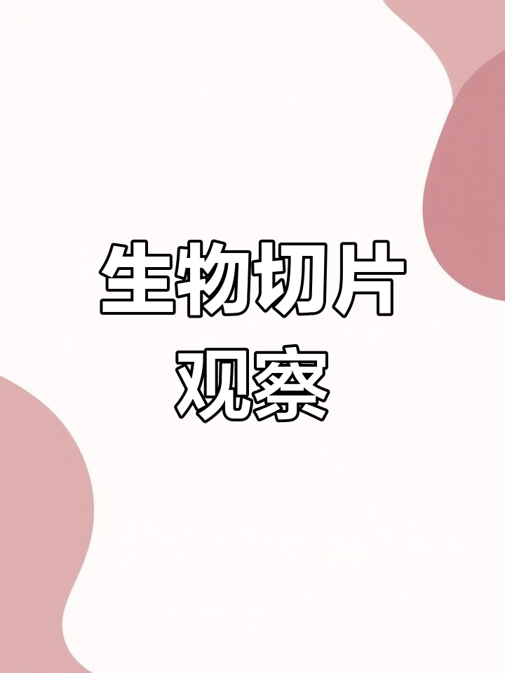 显微镜下的芹菜细胞世界