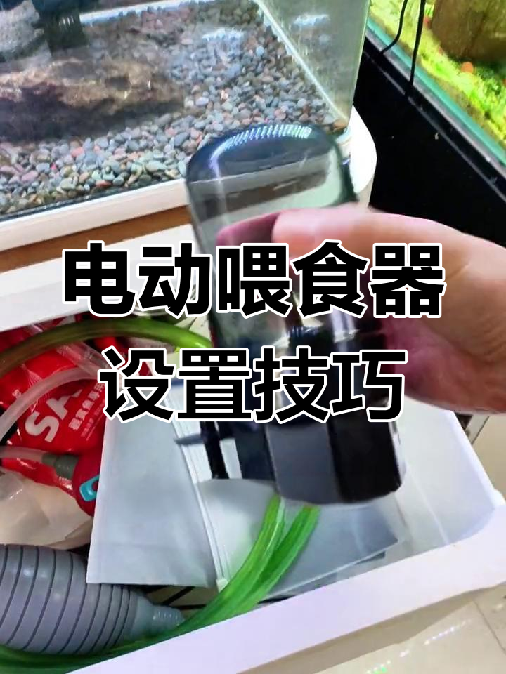自动喂食器使用指南,避免鱼儿挨饿