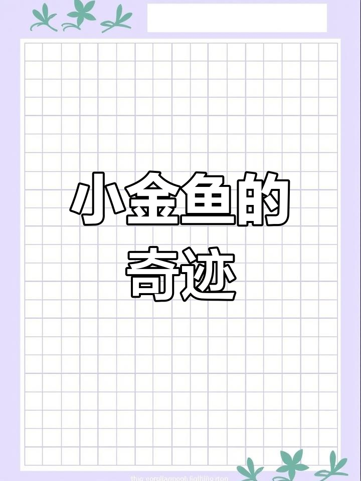 黑色小金鱼意外复活,让我重拾信心