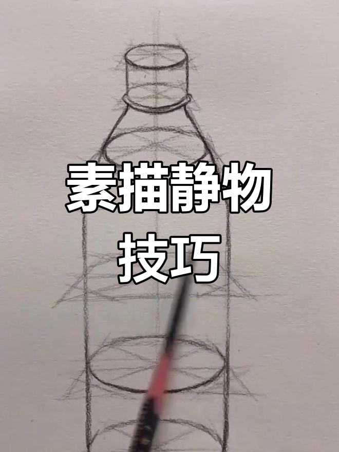素描静物结构解析:如何画出对称与透视关系