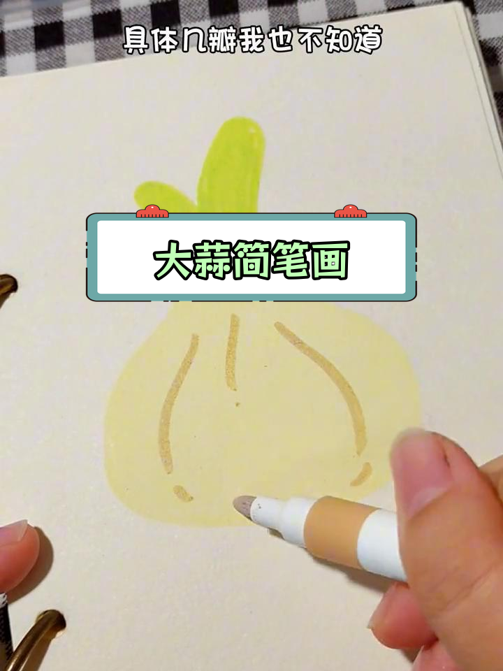 简单食物简笔画教程:大蒜与蒜苗
