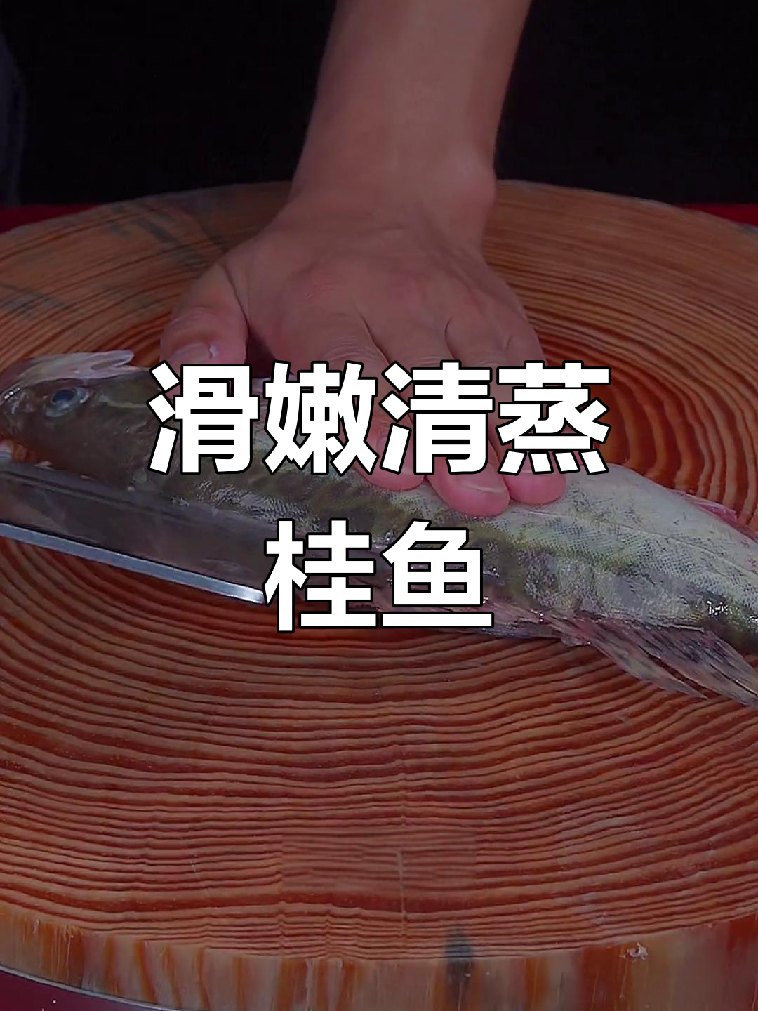 清蒸桂鱼,鱼肉鲜嫩不腥