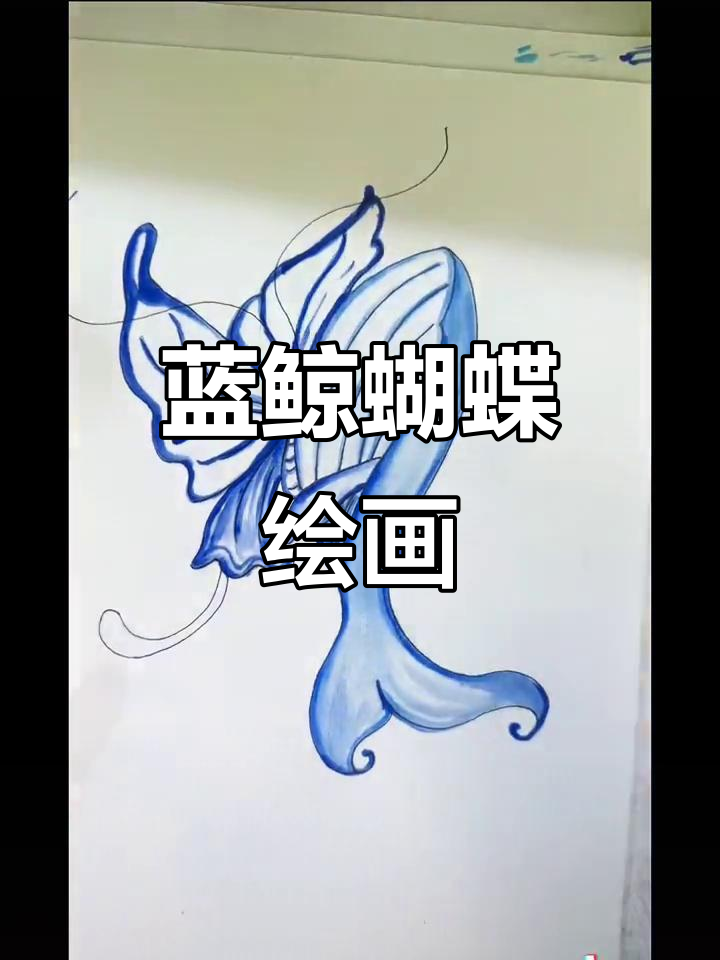 蓝色鲸鱼与蝴蝶的简笔画，轻松学会线条技巧