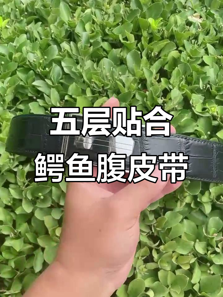五层手缝鳄鱼皮自动扣皮带，钨钢与小牛皮完美结合