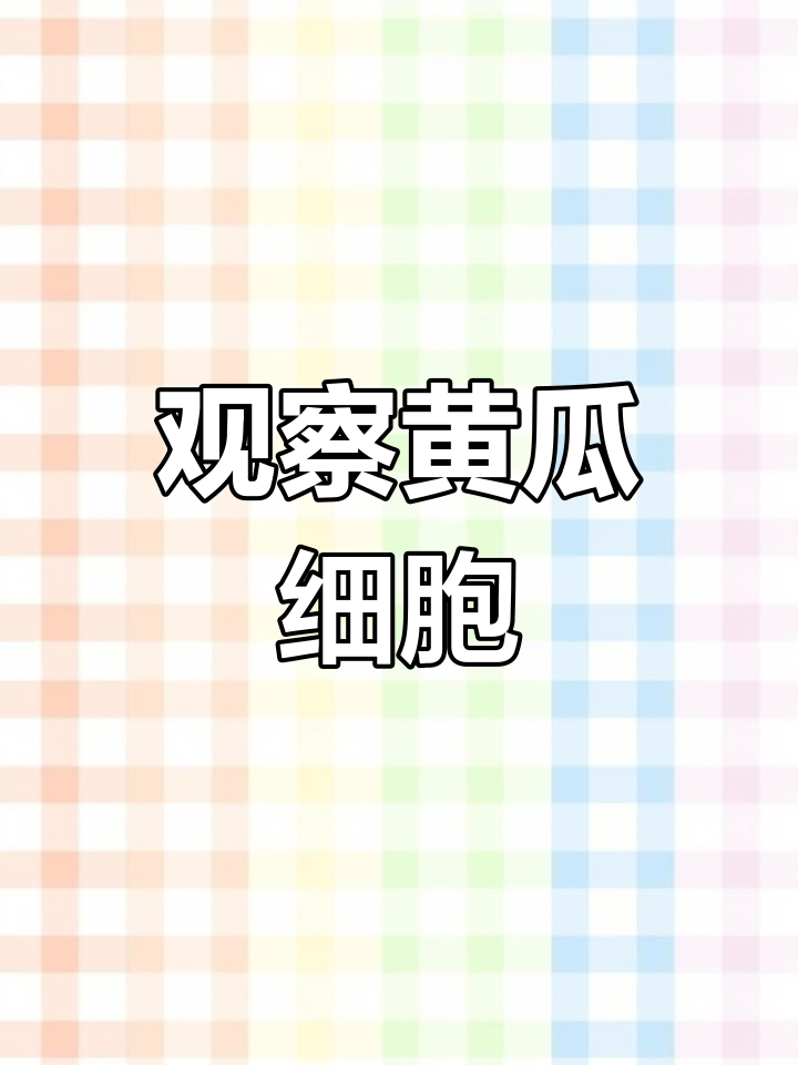 黄瓜果肉细胞大揭秘