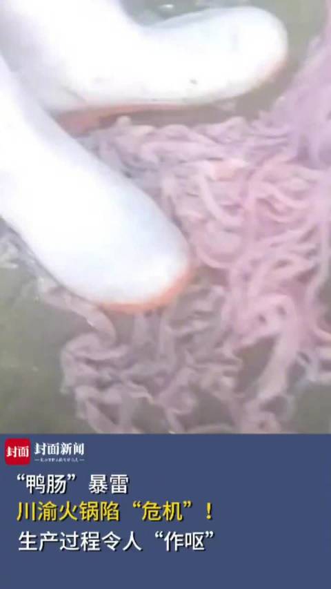 「脚踩挤粪、血水上色……媒体评:鸭肠暴雷谁为消费者买单?」鸭肠鹅肠是你的火锅必选项吗?近日