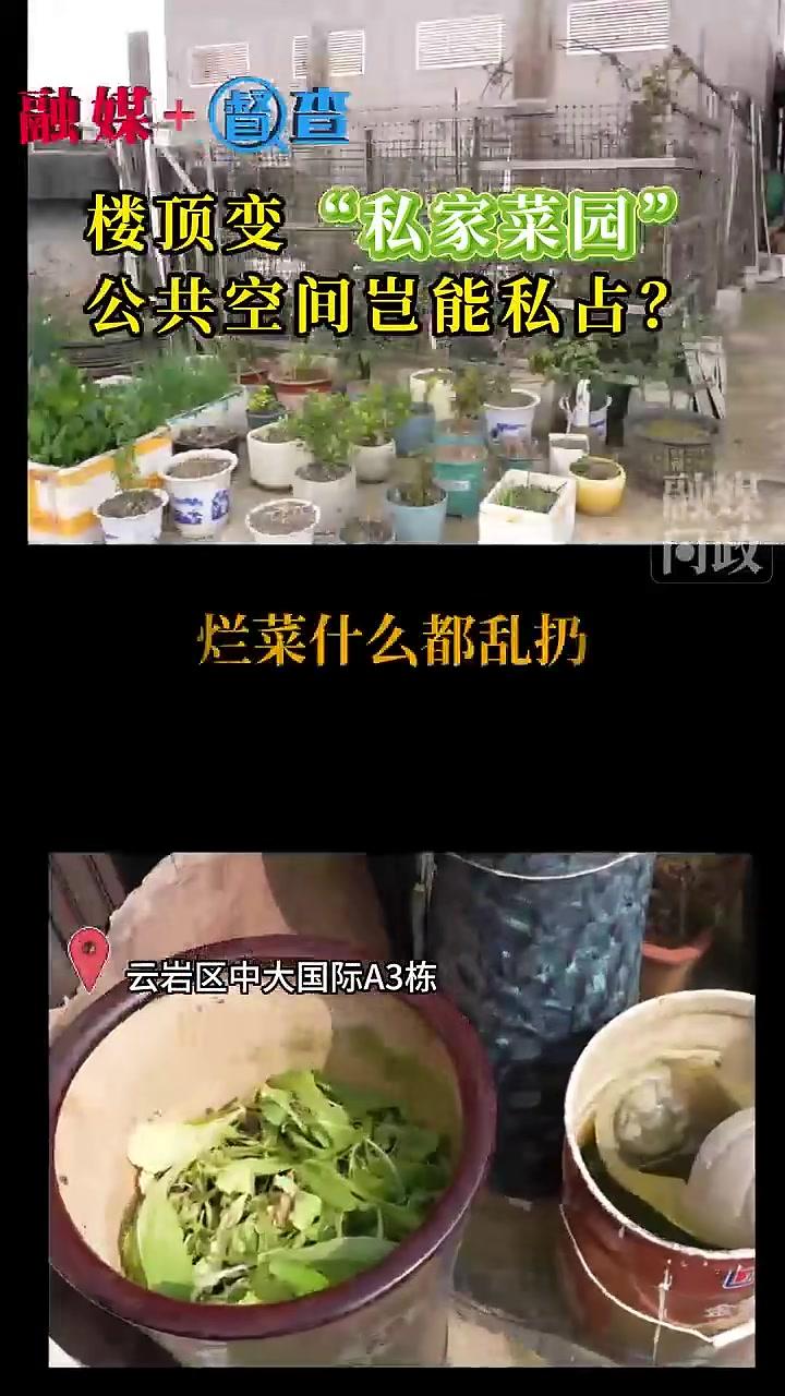 贵阳一小区楼顶被爆改为“私家菜园”！业主讨说法#小区#楼顶#菜园#问政@贵阳融媒问政栏目