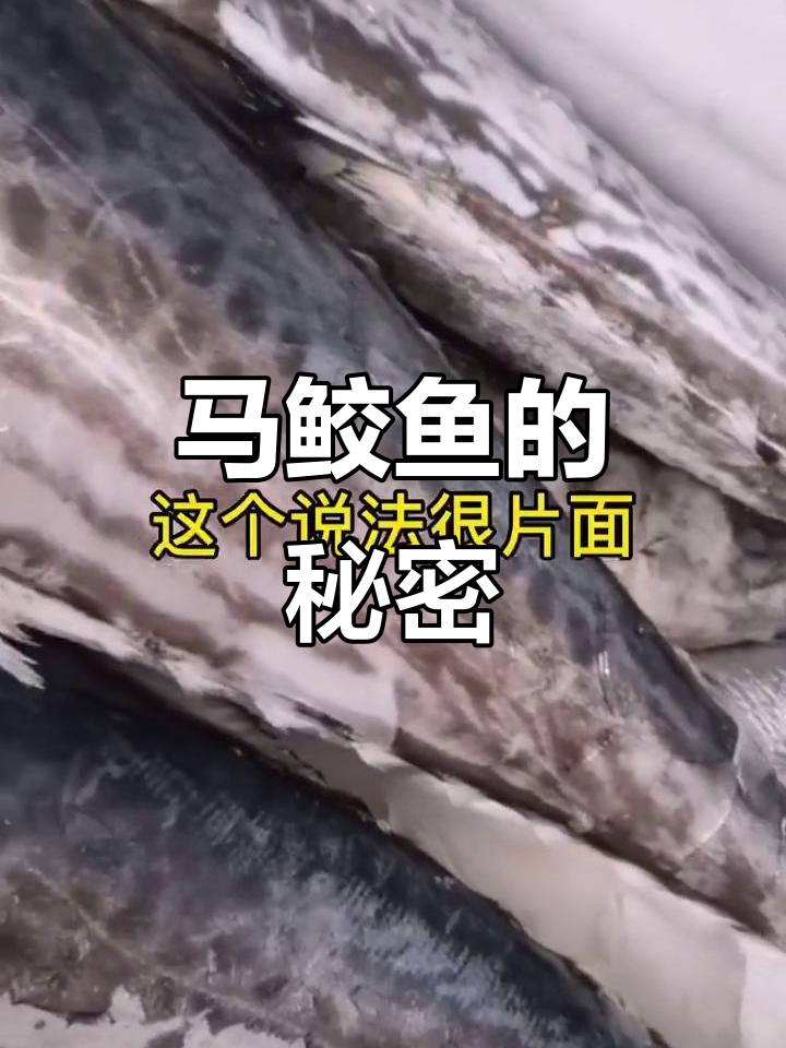 海南马鲛鱼为何这么贵?这三点决定品质