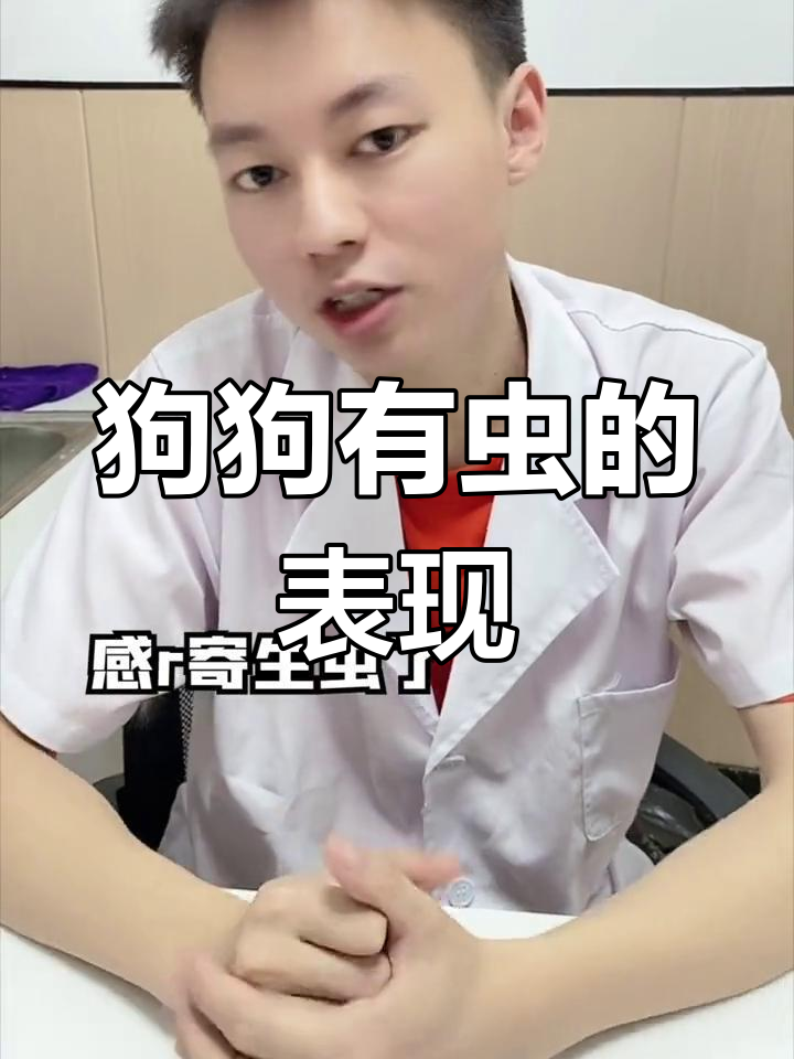 狗狗感染寄生虫的六大症状,家长必看
