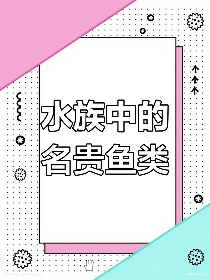 中华胭脂鱼:水中珍品与美味食用鱼