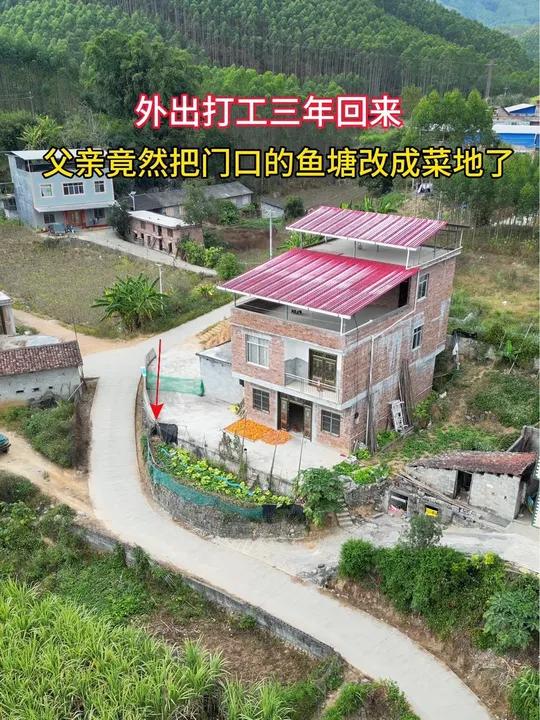 外出打工三年没回来,父亲竟然把家门口的鱼塘改成菜地了,这可如何是好呢!农村自建房 宅基地建