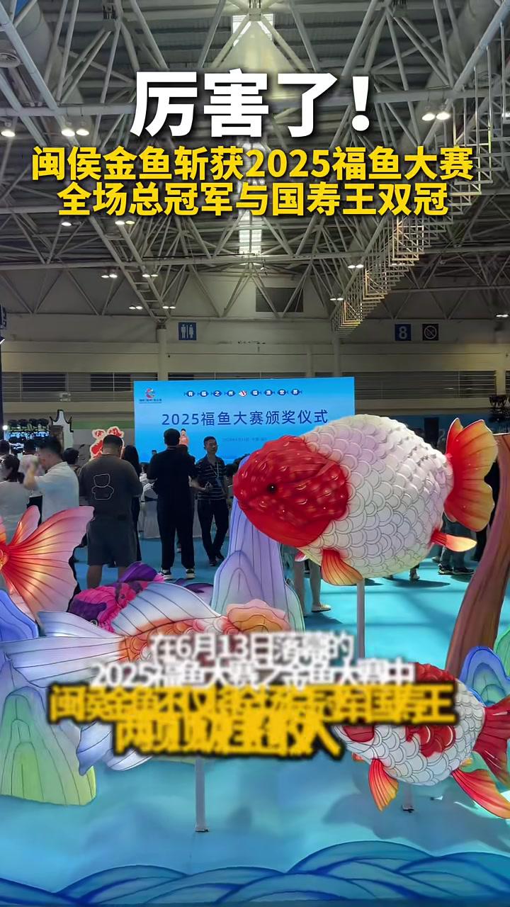 福鱼大赛见证“中国金鱼之乡”硬实力！闽侯金鱼斩获全场总冠军与国寿王双冠，厉害了！福州 闽侯
