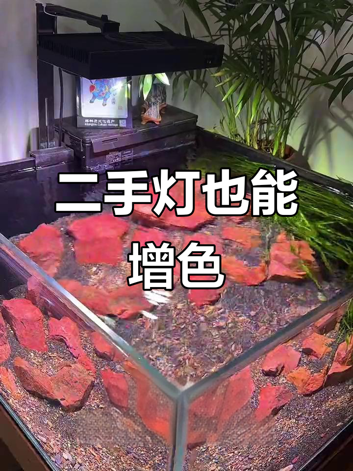 鱼缸灯光大改造,二手阳光几何效果惊艳!