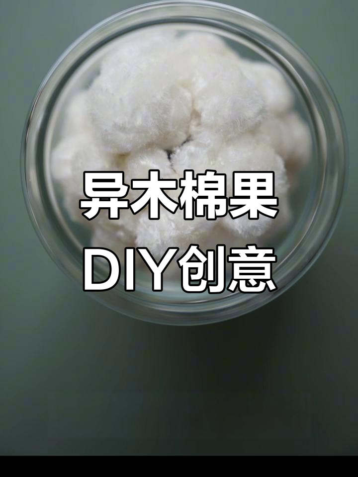 美丽异木棉果的创意玩法,做冰淇淋、棉花糖和纸杯蛋糕!