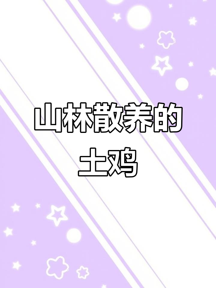 散养跑山鸡,自由自在山林间