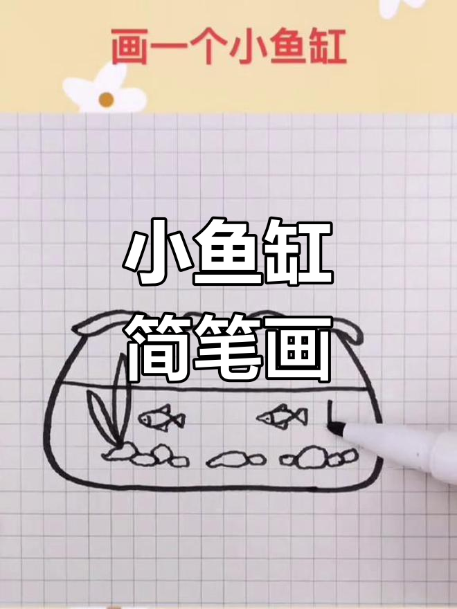 画一个简单的小鱼缸