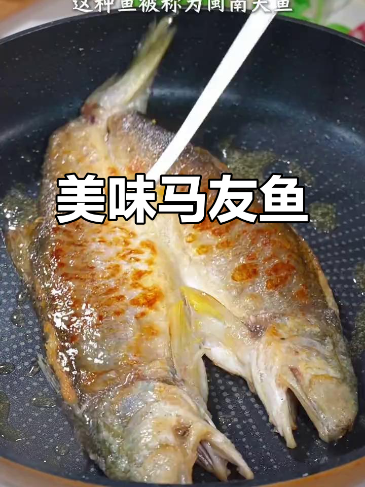 马友鱼鲜美无比,肉质细腻刺少,清蒸或煎制皆宜